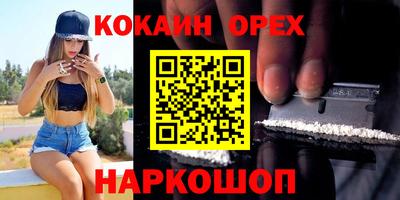 крисы Будённовск