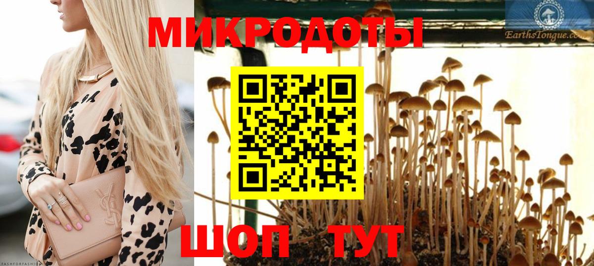 Псилоцибиновые грибы ЛСД  Вход с VPN  Корсаков  где купить   Псилоцибиновые грибы MAGIC MUSHROOMS 